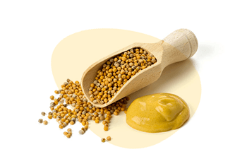 Mustard is listed as one of the 14 major food allergens