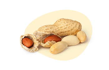 Peanuts is listed as one of the 14 major food allergens