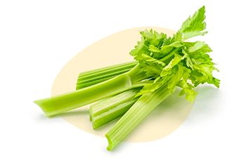 Celery is listed as one of the 14 major food allergens