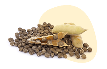Lupin is listed as one of the 14 major food allergens